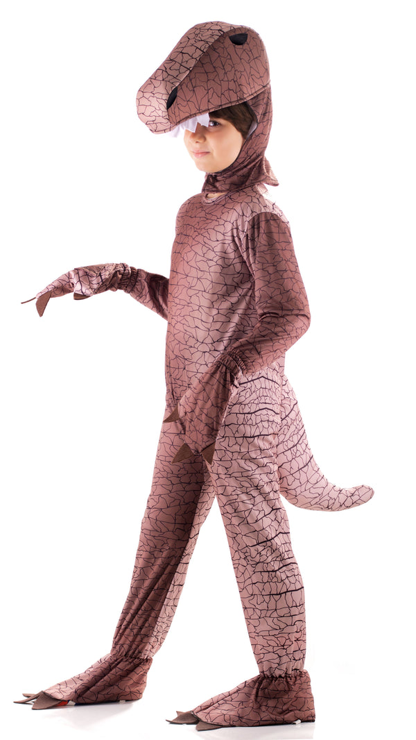 Dinosaur costume for kids